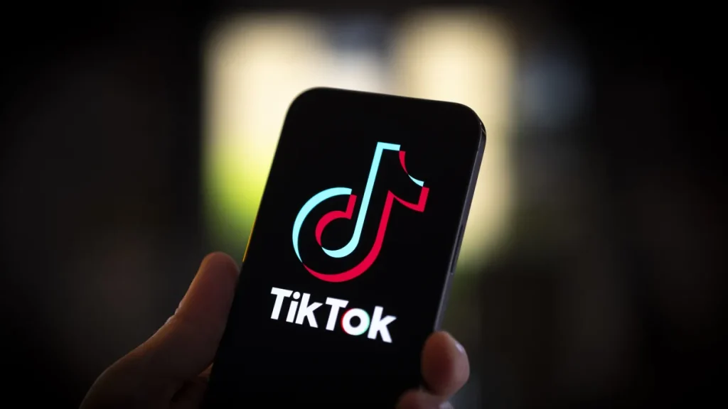 tiktok downloader
